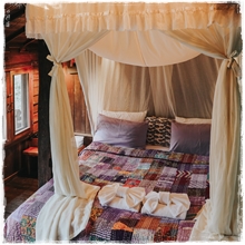 Room6