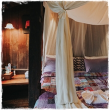 Room5